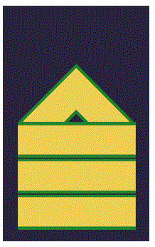 Hombreras Sargento 1º Ejército del Aire